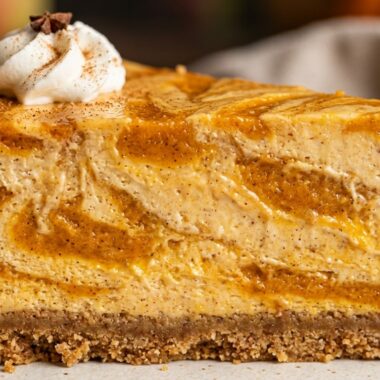 Creamy Pumpkin Swirl Cheesecake Bars ultra close-up hero